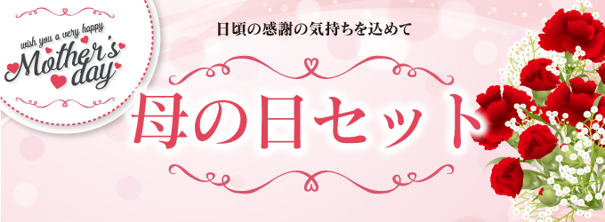 母の日セット 母の日セット